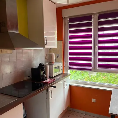 Park Line Garden Appartement Strasbourg